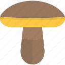 agaric, food, forest, honey, mushrooms