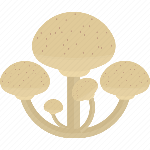 Forest, grebe, mushrooms, toadstool icon - Download on Iconfinder