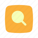 search, magnifier, glass, zoom, find, magnifying glass