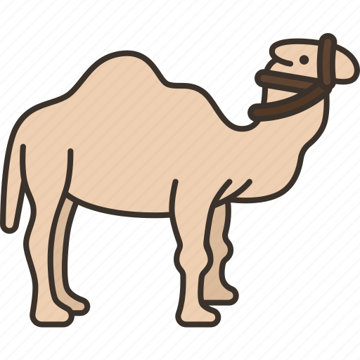 Dromedary, camel, desert, arabian, animal icon - Download on Iconfinder