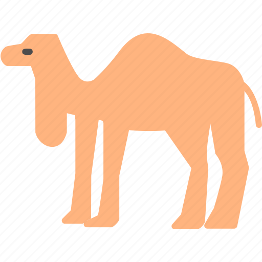 Camal, animal, camel, forest, mammal, zoo, icon icon - Download on Iconfinder