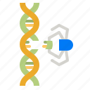 dna, genome, medical, genetic, code