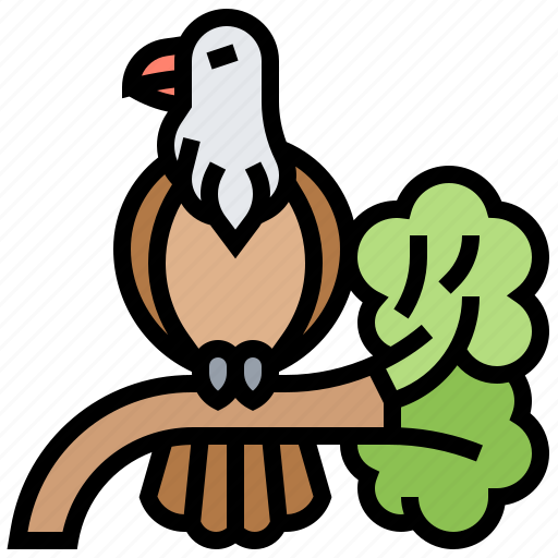 Animal, bird, eagle, freedom, nature icon - Download on Iconfinder
