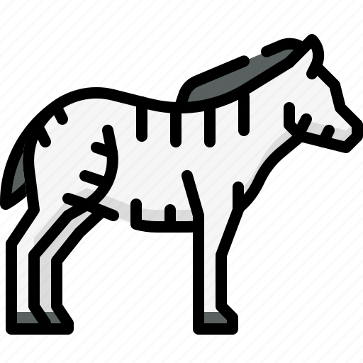 Animal, zoo, wildlife, wild, animals, zebra icon - Download on Iconfinder