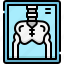 hospital, medical, healthcare, health, xray, radiology, pelvis, skeleton, bones 