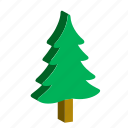 christmas, fir, forest, nature, tree, woods, xmas