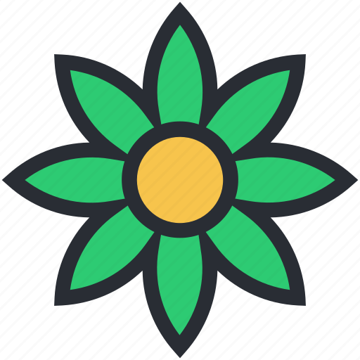 Bloodroot flower, blossom, flower, nature, spring flower icon - Download on Iconfinder
