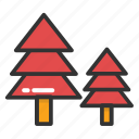 christmas trees, evergreen trees, fir trees, forest, trees