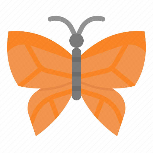 Butterfly, animal, insect, nature, spring icon - Download on Iconfinder