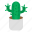 cactus, plant, pot, gardening, nature 