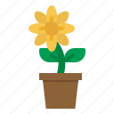 flower, pot, garden, plant, nature