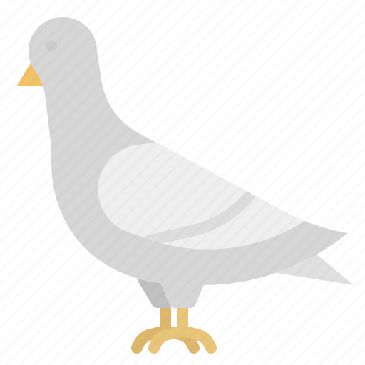 Pigeon, bird, animal, dove, nature icon - Download on Iconfinder