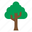 tree, nature, plant, wood, forest 
