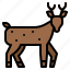 deer, animal, reindeer, nature, forest 