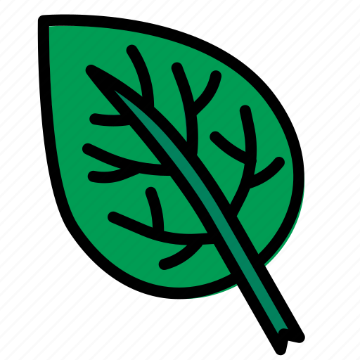 Leaf, nature, plant, garden, foliage icon - Download on Iconfinder