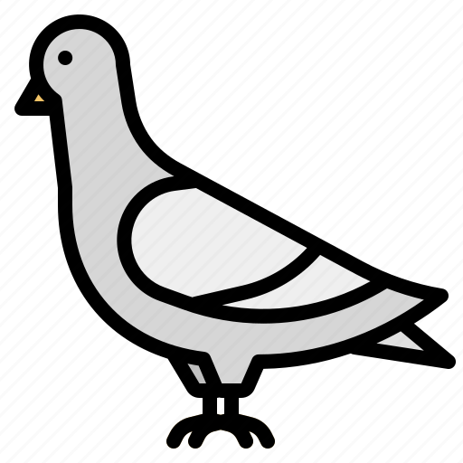 Pigeon, bird, animal, dove, nature icon - Download on Iconfinder