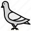 pigeon, bird, animal, dove, nature 