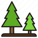 pine, spruce, tree, forest, nature