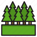 spruce, tree, forest, pine, nature