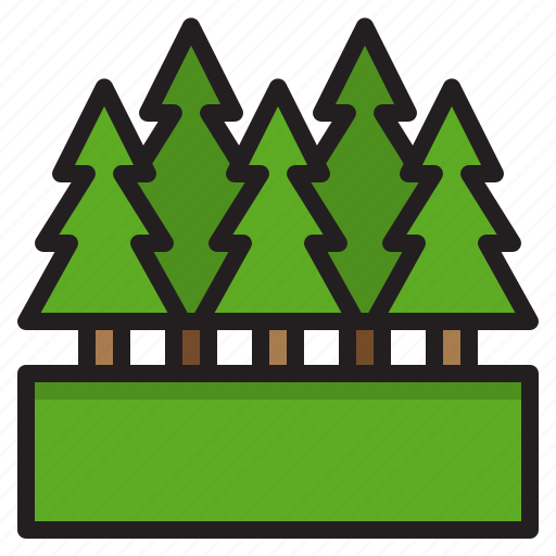 Spruce, tree, forest, pine, nature icon - Download on Iconfinder