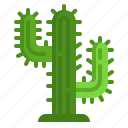 cactus, desert, nature, tree, succulent