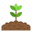 growth, nature, plant, leaf, soil