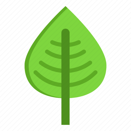 Leave, floral, plant, leaf, nature icon - Download on Iconfinder