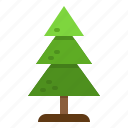 spruce, tree, forest, nature, pine
