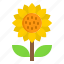 sunflower, floral, garden, agriculture, plant 