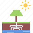 tree, sun, root, water, nature, landscape