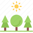 tree, sun, nature, landscape