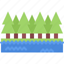 forest, spruce, water, nature, landscape