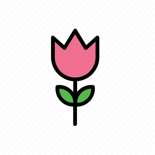 Flower, natural, nature, rose, world icon - Download on Iconfinder