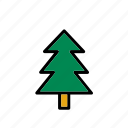 christmas, fir, natural, nature, tree, winter, world