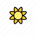 flower, natural, nature, sun, sunflower, world