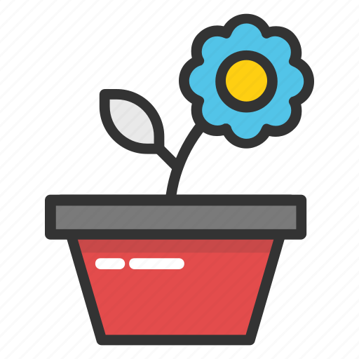 Daisy plant, indoor plant, plant, pot plant, small plant icon - Download on Iconfinder