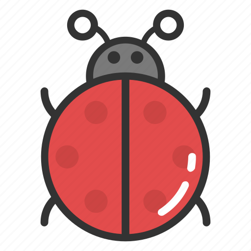 Beetle, insect, ladybeetle, ladybird, ladybug icon - Download on Iconfinder