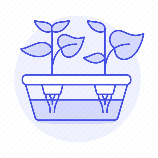 Box, crop, growth, hydroculture, hydroponic, mineral, nature icon - Download on Iconfinder