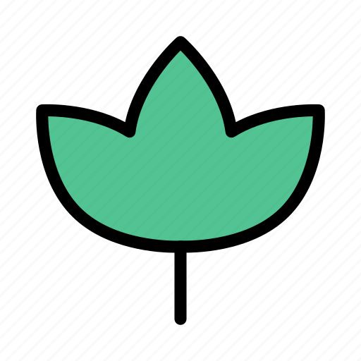Bloom, flower, green, lotus, nature icon - Download on Iconfinder