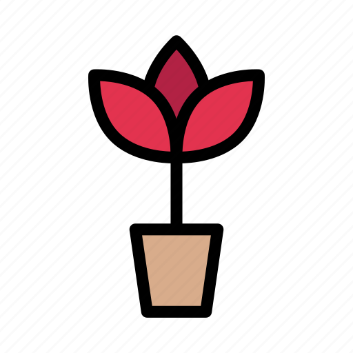 Flower, green, growth, nature, plant icon - Download on Iconfinder