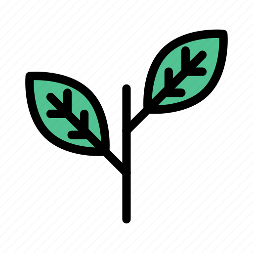 Ecology, green, leaf, nature, plant icon - Download on Iconfinder