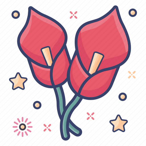 Arum lily, bloom, calla, floral, flower, nature icon - Download on Iconfinder