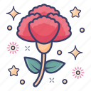 botany, carnation, clove pink, dianthus caryophyllus, nature 