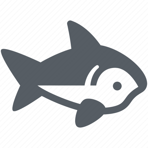 Attack, fish, ocean, predator, sea, shark icon - Download on Iconfinder