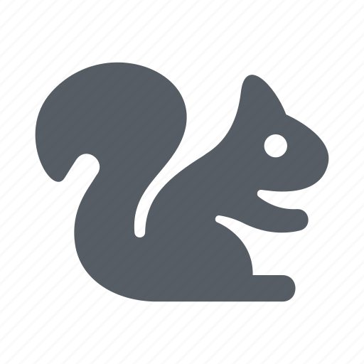 Animal, cute, forest, nut, rodent, squirrel icon - Download on Iconfinder