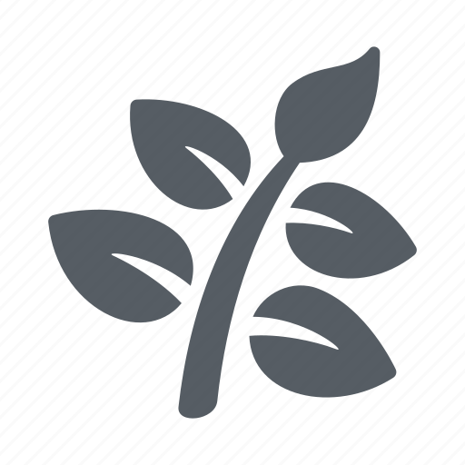 Branch, environment, leaves, nature, plant icon - Download on Iconfinder