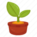 mud plant, sprout, growing plant, farming