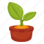 mud plant, sprout, growing plant, farming 