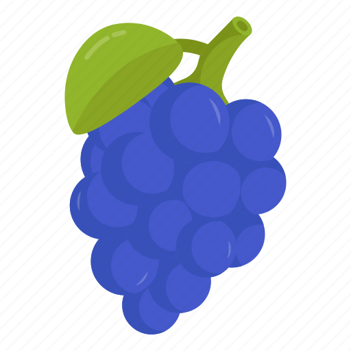 Grapes, fruit, edible, nutritious diet, healthy diet icon - Download on Iconfinder