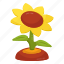 sunflower, nature, indoor plant, decorative plant, botany 